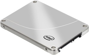 Intel HP Pro 300 GB Desktop Internal Hard Disk Drive (SSDSA1NW300G301)