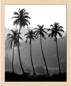 Artzfolio ArtzFolio Black & White Photo Of Palm Trees Canvas Painting  Natural Brown Wooden Frame 16inch x 19.7inch (40.6cms x 49.9cms) Digital  Reprint 16.5 inch x 20.2 inch Painting Price in India - Buy Artzfolio  ArtzFolio Black & White Photo Of Palm