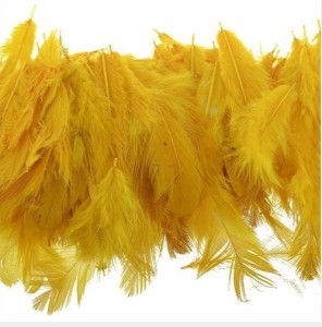 Utkarsh Natural Dyed Multicolor Multi-Purpose Craft Feathers