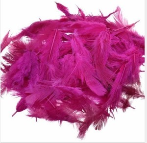 Utkarsh Natural Dyed Multicolor Multi-Purpose Craft Feathers