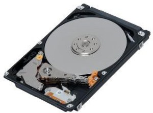 DAICHI 500GB 500 GB Desktop Internal Hard Disk Drive (500GB INTERNAL HARD DISK FOR DESKTOP)