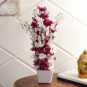 Flipkart outlet home decoration