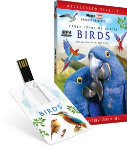 Inkmeo Movie Card - Birds - English - Learn about more than 65 Birds - 8GB USB Memory Stick - High Definition(HD) MP4 Video(USB Memory Stick)
