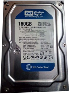 WD CAVIER 160 GB Desktop Internal Hard Disk Drive (WD1600AAJSP)