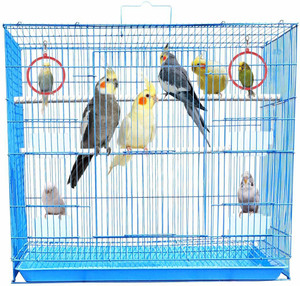 Budgie bird cage size clearance