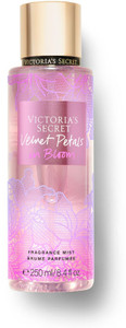 Velvet petals in bloom review best sale