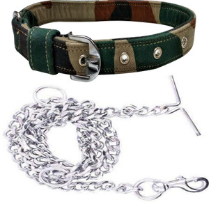 Puppy belt and outlet chain