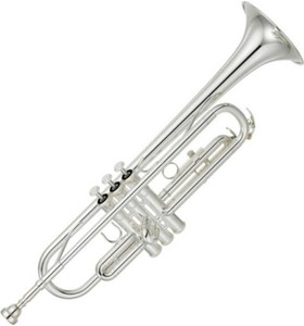 Rmze Professional TS R 01 Bb Trumpet Price in India Buy Rmze