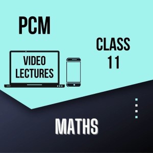 Study At Home CBSE Class 11 - Maths | Video Lecture(Pendrive)