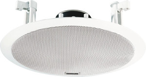 Ahuja hanging speakers deals