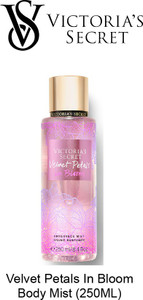 Velvet petals in bloom store