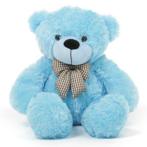 Teddy bear best sale blue colour
