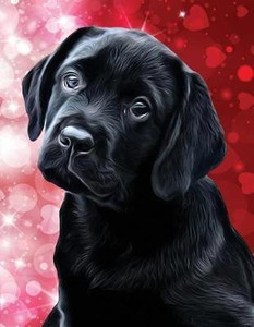 Black Labrador Puppy Notebook Buy Black Labrador Puppy Notebook