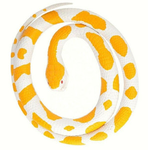 ALBINO PYTHON RUBBER SNAKE-M ALBINO PYTHON RUBBER SNAKE-M