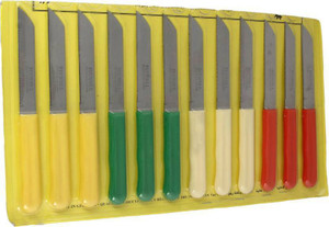 Fixwell Plastic, Stainless Steel Knife Set