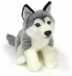 https://rukminim1.flixcart.com/image/300/300/kjym9ow0/stuffed-toy/6/y/a/lovely-plush-dog-soft-siberian-husky-stuffed-animal-puppy-toy-original-imafzewyeqkcye7k.jpeg