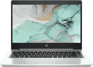 HP Core i7 10th Gen - (8 GB/1 TB HDD/Windows 10 Pro) 440 G7 Laptop(14 inch, Silver)