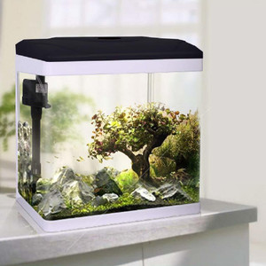 Fish tank 2025 price flipkart