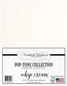 Whip Cream White Cardstock Paper - 8.5 X 11 Inch 100 Lb