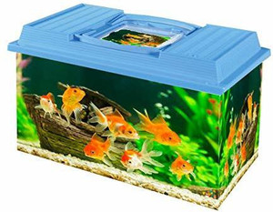 trixie Fish Tank Aquarium with Easy Carry Handle 10L Rectangle Aquarium Tank Price in India Buy trixie Fish Tank Aquarium with Easy Carry Handle 10L Rectangle Aquarium Tank online at Flipkart