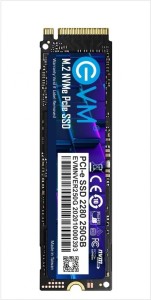 EVM M.2 2280 250 GB Desktop, Laptop Internal Solid State Drive (EVMNV/250GB)