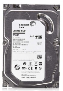 Seagate Sata Work in Both PC and CCTV DVR 250 GB Desktop Internal Hard Disk Drive (High Quality)