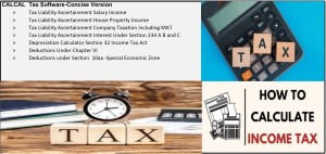 CALCAL Tax Software Indian Income Tax Act Different Assessee-Concise Verion(One Time Purchase, 1 PC)