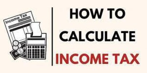 CALCAL Tax Software Indian Income Tax Act Different Assessee(One Time Purchase, 1 PC)