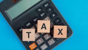 CALCAL Tax Software India Presumptive Taxation Section 44(One Time Purchase, 1 PC)