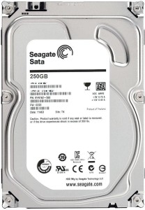 Seagate Sata Work in CCTV DVR and Desktop PC 250 GB Desktop Internal Hard Disk Drive (Genuine Quality)