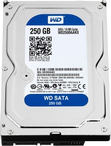 WD Sata Excellent Performance Work in both Desktop PC and CCTV DVR 250 GB Desktop Internal Hard Disk Drive (Blue Series)