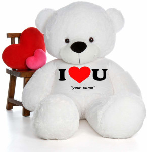 Teddy bear hot sale with name