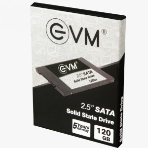 EVM 2.5 120 GB Laptop, Desktop, All in One PC's Internal Solid State Drive (S3160)