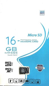 SPORTS SPIRIT PROFESSIONAL 16 GB MicroSD Card Class 10 100 MB/s  Memory Card