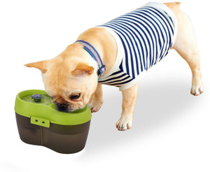 Goofy Tails Dog H2O Water Fountain Automatic Dog Water Dispenser