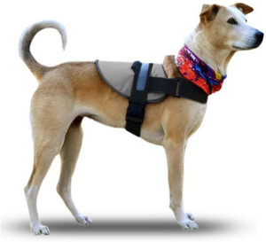 Tripod harness hot sale for dogs