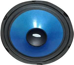 10 inch shop 200 watt speaker