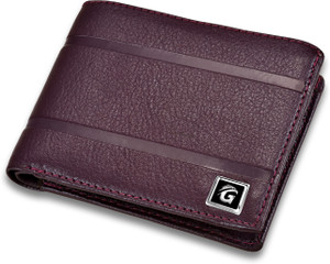 G FLY Men Purple Artificial Leather Wallet VIOLET Price in India