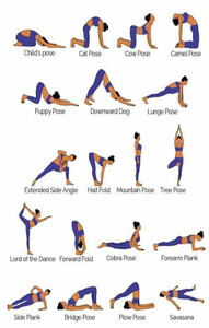 Yoga For Healthy Heart: 11 Effective Yoga Asanas That Will Help You Manage  Cardiac Health - MyHealth