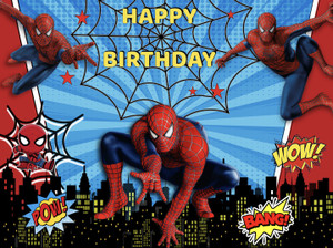 Spiderman store birthday banner