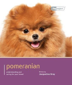 Pomeranian Dog Expert Buy Pomeranian Dog Expert by Gray