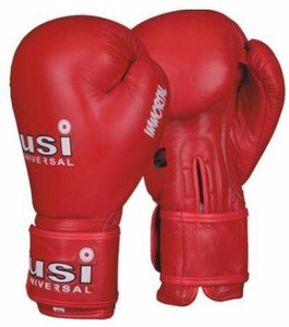 Usi boxing gloves price on sale