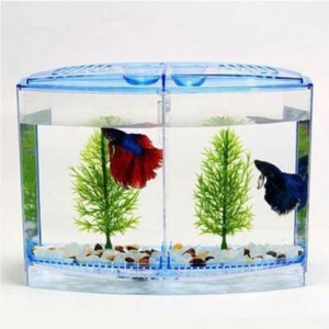 Fish tank hotsell online flipkart