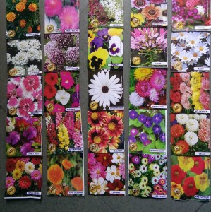 GRAH PRAVESH WHOLESALE price, many FLOWER seeds packets Seed Price