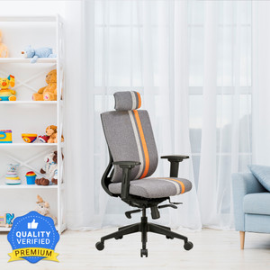 Featherlite 2025 chairs flipkart