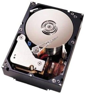 EverStore DESKTOP SERIES 250 GB Desktop, Surveillance Systems Internal Hard Disk Drive (250GB DESKTOP HDD)