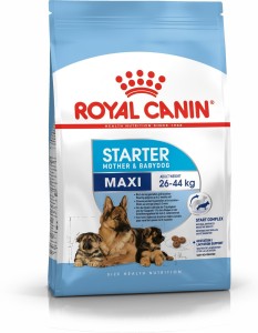 Royal Canin Maxi Starter 1 kg Dry Adult Dog Food