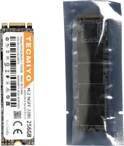 Tecmiyo 2280 256 GB Laptop, Desktop, All in One PC's Internal Solid State Drive (M.2 2280 NGFF)