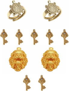 VAIBHAV Overall Benefit Wellness Combo Set of 2 Lion Sher Sinh