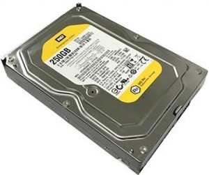 Western Digtal pro 250 GB Desktop Internal Hard Disk Drive (WD2503ABYZ)